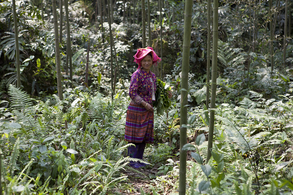 Les écoliers sont studieux, village Hmong - Vietnam - Second jour de trek