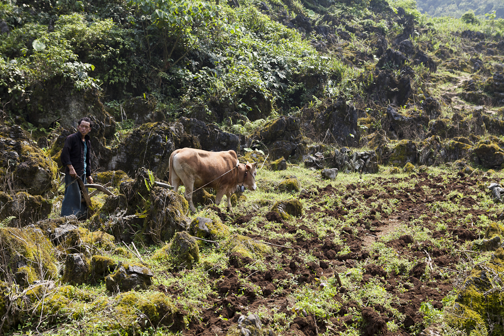 Les écoliers sont studieux, village Hmong - Vietnam - Second jour de trek