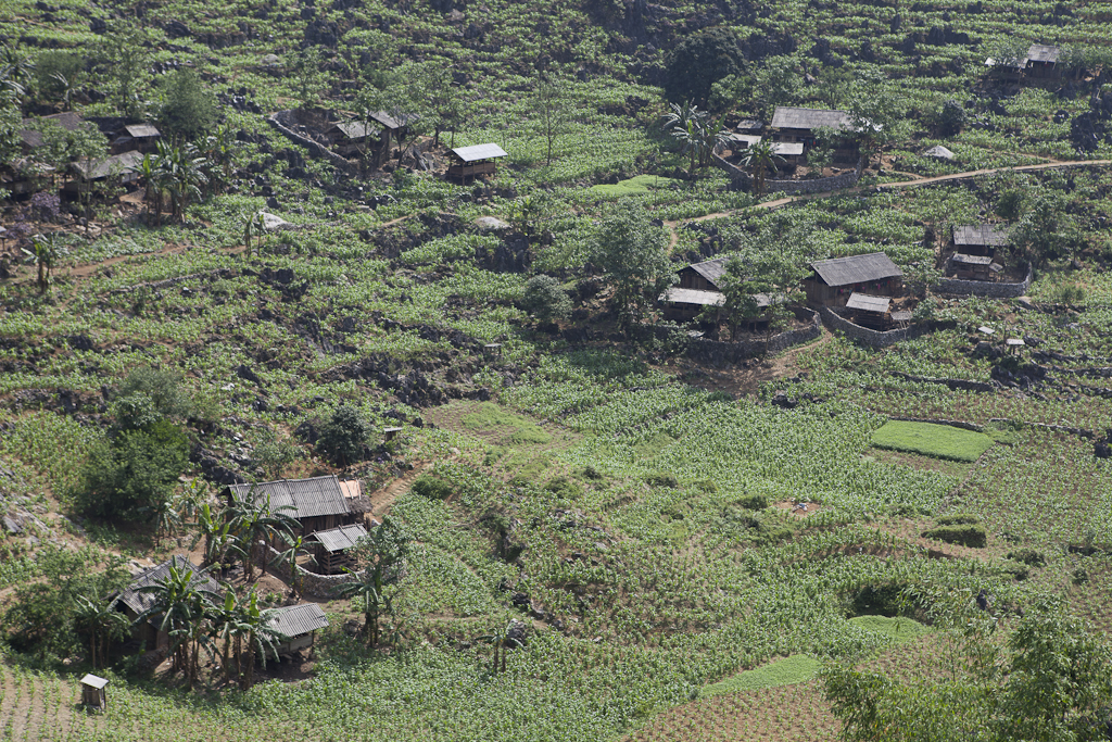 Le transport des bagages - Fin du trek, retour à Ha Giang