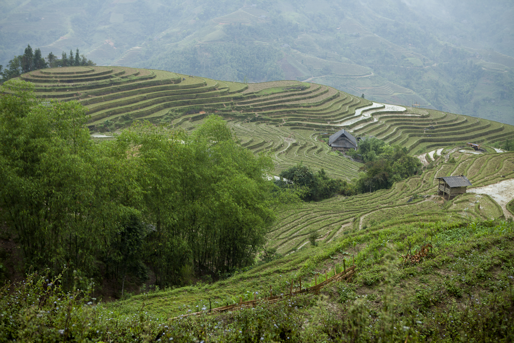 Passage en forêt - Départ du 3ème trek pour Bac Ha