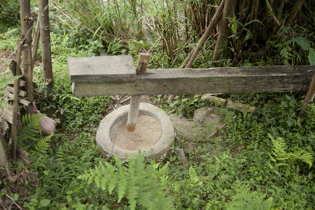 Passage en forêt - Départ du 3ème trek pour Bac Ha