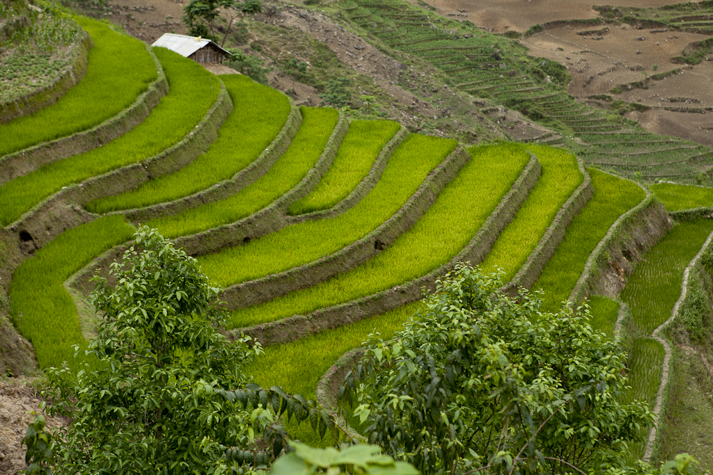 Rencontre sur le chemin - Fin du trek, cap pour Bac Ha