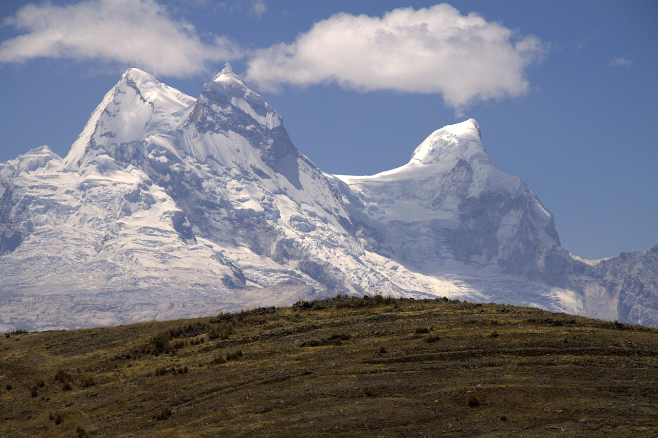 Puyas Raimondi, Cordillère noire - Randonnée en Cordillère Noire