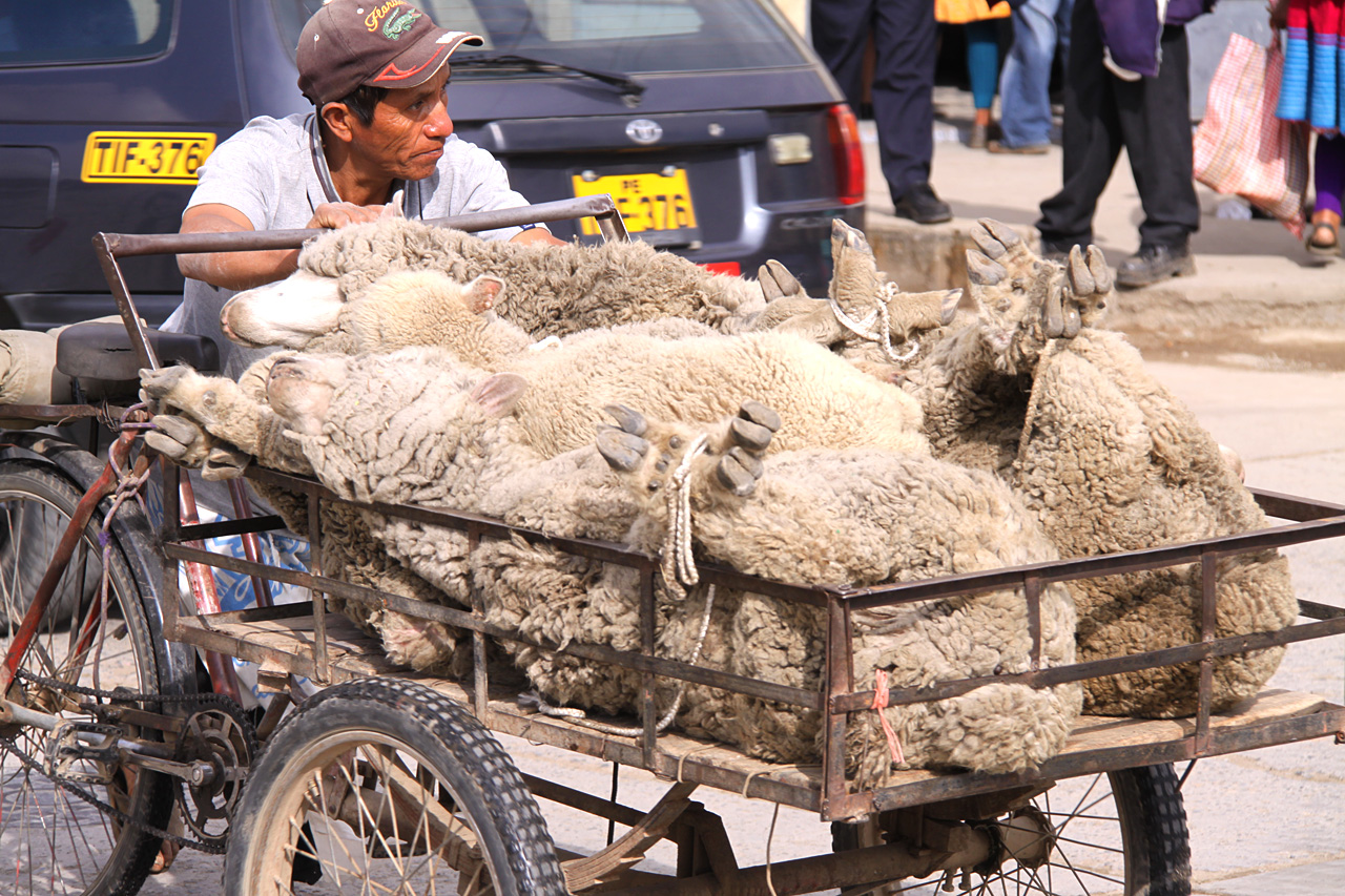 Marché de Caraz, Cordillère blanche - Marché de Caraz