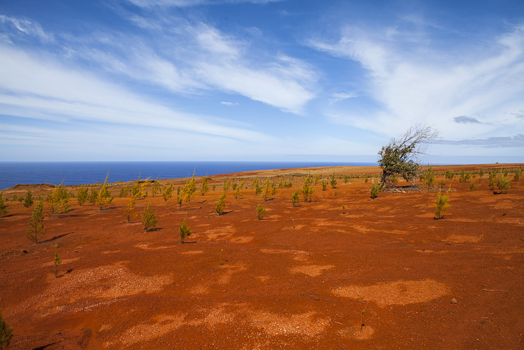 Terres volcaniques