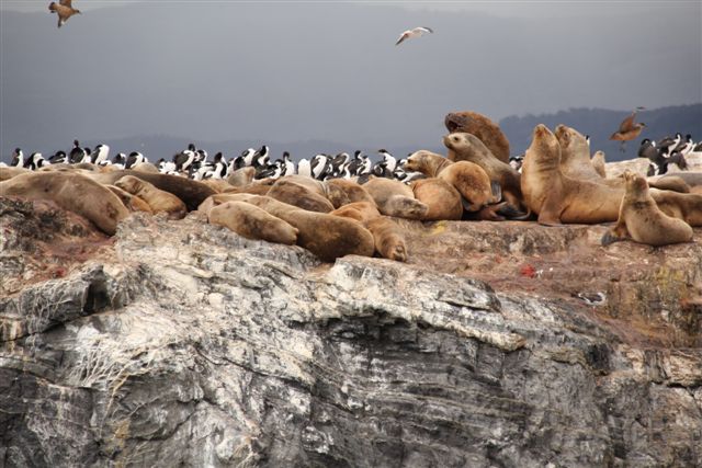 Sur le canal de Beagle et dans la prison d'Ushuaia