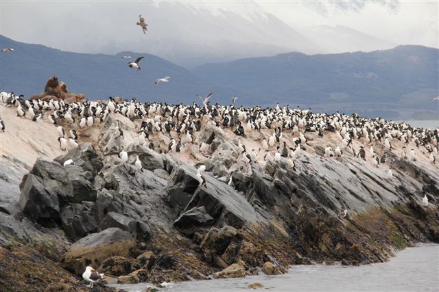 Sur le canal de Beagle et dans la prison d'Ushuaia