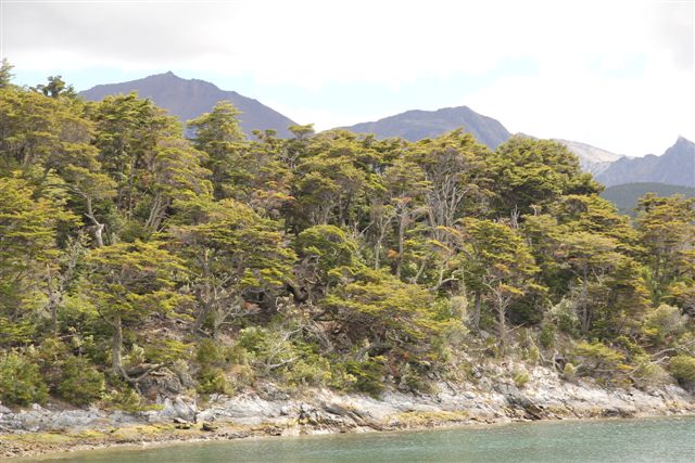 Ushuaia, bout du monde - Autour d'Ushuaia