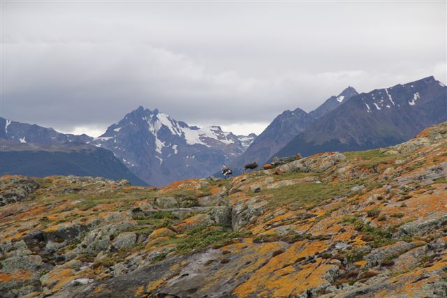 Ushuaia, bout du monde - Autour d'Ushuaia