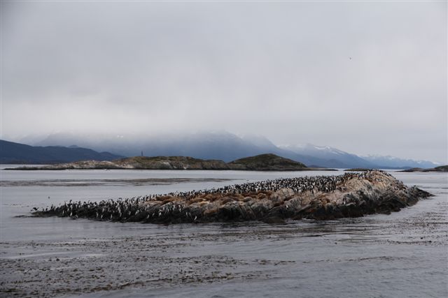 Ushuaia, bout du monde - Autour d'Ushuaia