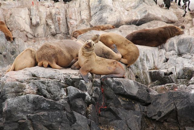 Ushuaia, bout du monde - Autour d'Ushuaia