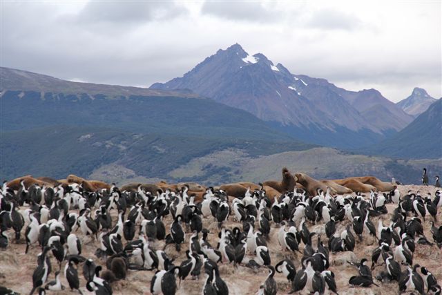 Ushuaia, bout du monde - Autour d'Ushuaia