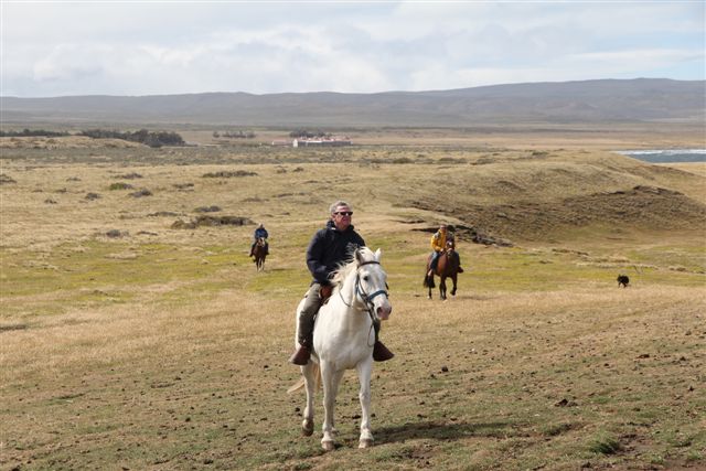 Balade à cheval le long des flots