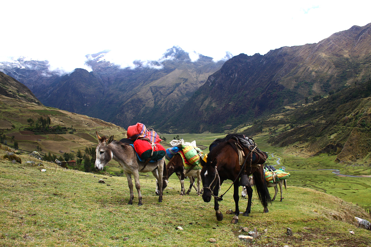 Hameau de Huilca, Tour de l'Alpamayo - Hameau de Huilca, col de Salctaycocha, alpage de Jankapampa