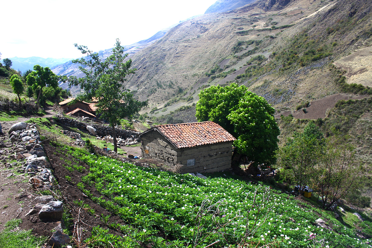 Huaripampa, Tour de l'Alpamayo - Marche dans la vallée