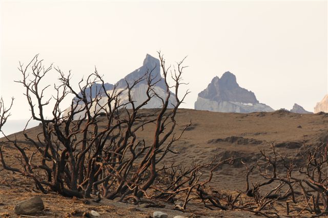 Triste paysage, 10 000 ha partis en fumée !