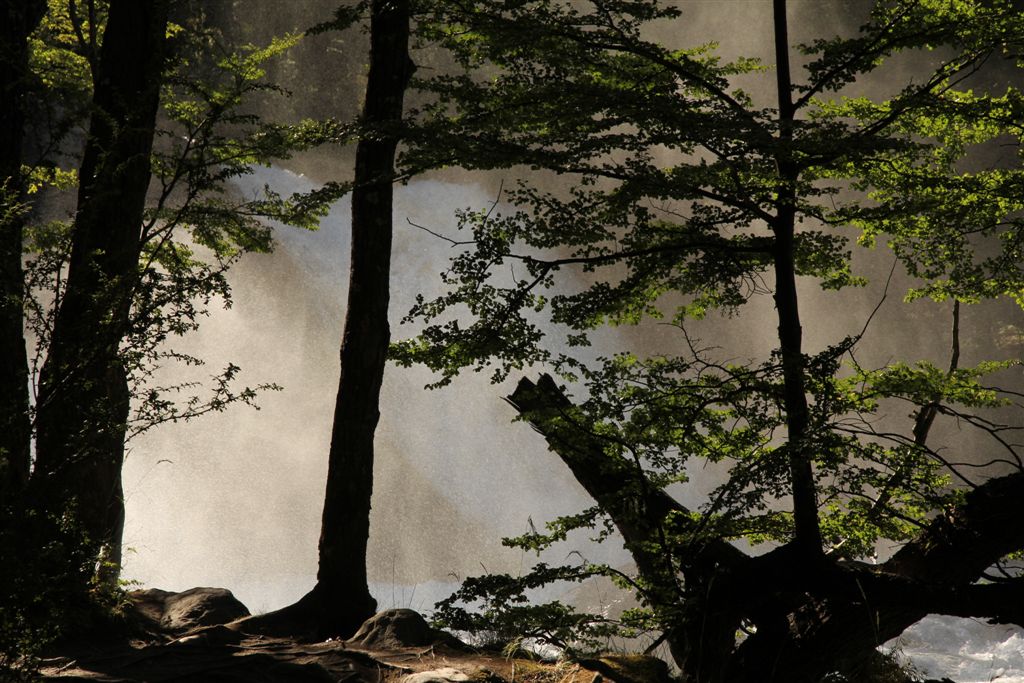 La cascade des argentins