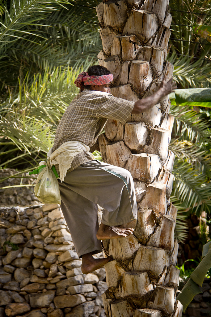 De Misfat Al Abreyeen à Al Hamra