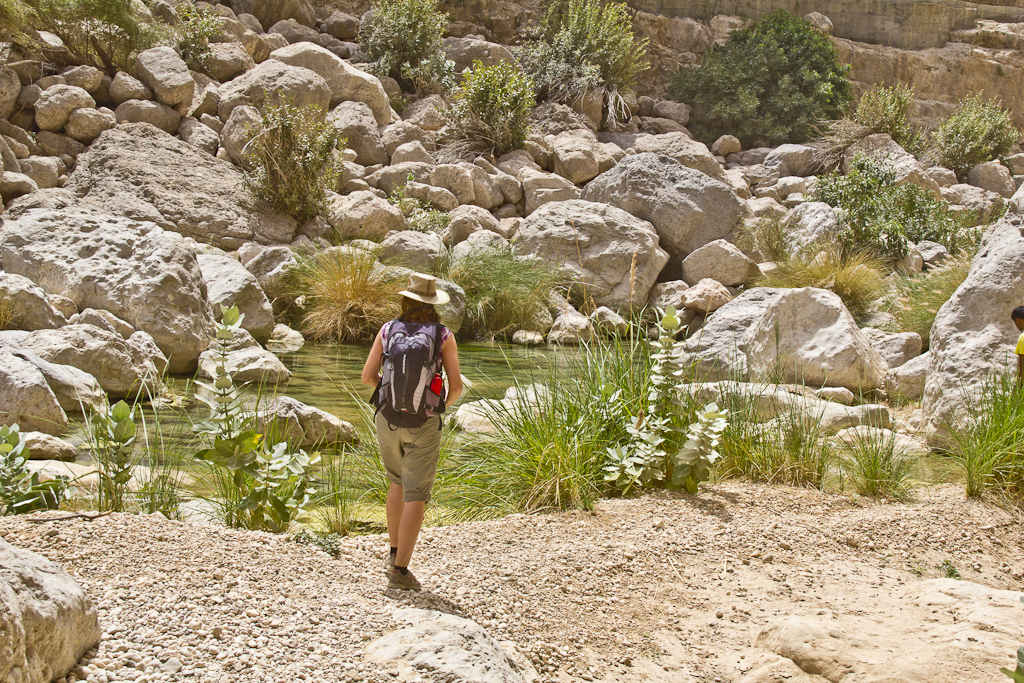 Ce soir, retour dans le désert - Désert et  Wadi Tiwi