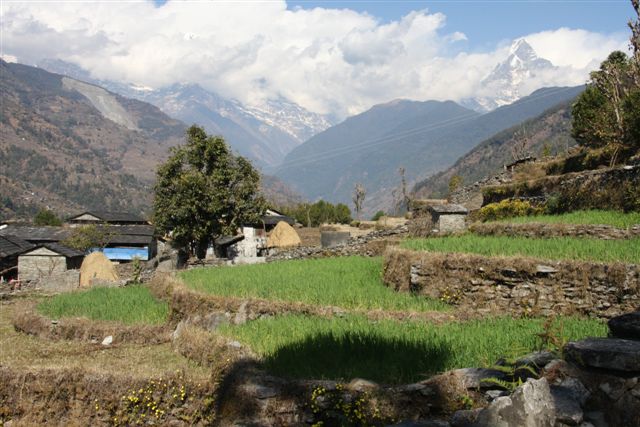 Annapurna nous voilà !