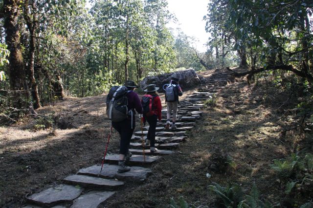 Trek vers Basanta (1650 m)