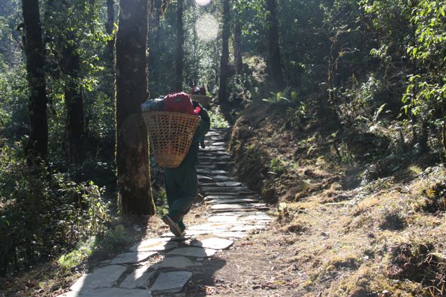 Trek vers Basanta (1650 m)