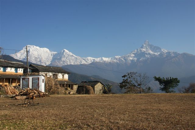 Fin du trek et retour à Pokhara (800 m)