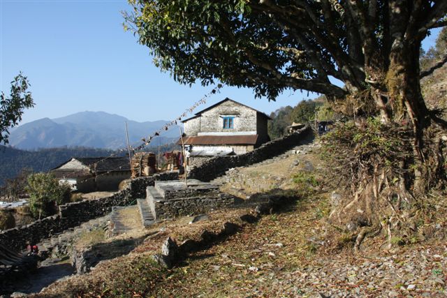 Fin du trek et retour à Pokhara (800 m)