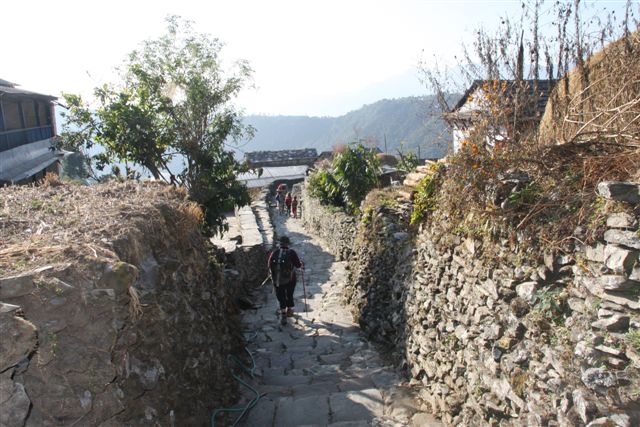 Fin du trek et retour à Pokhara (800 m)