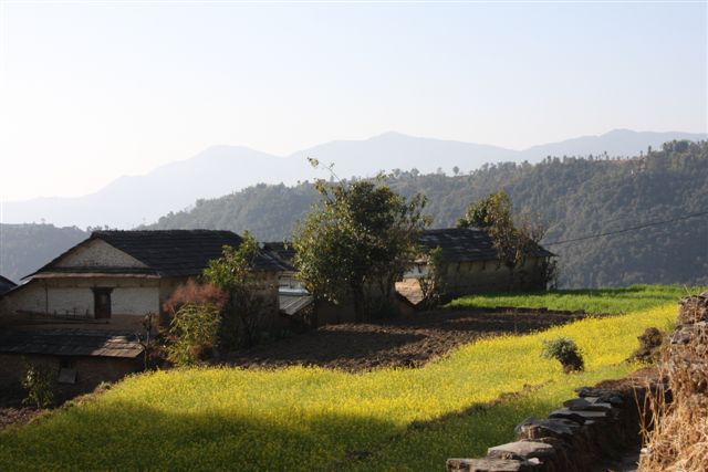 Fin du trek et retour à Pokhara (800 m)