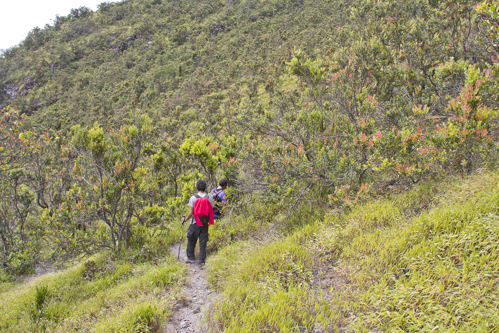 Ascension du volcan Merapi (2911 m)