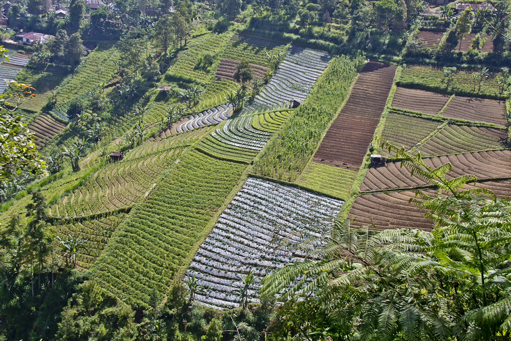 De Solo à Sarangan