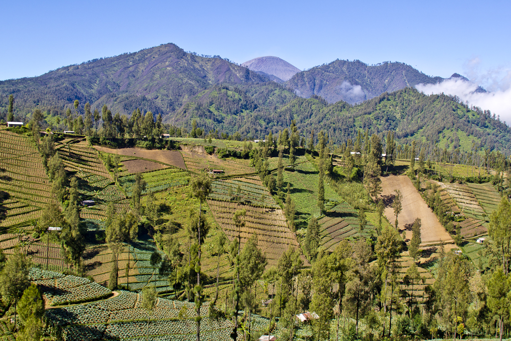 Cap sur le Mont Bromo