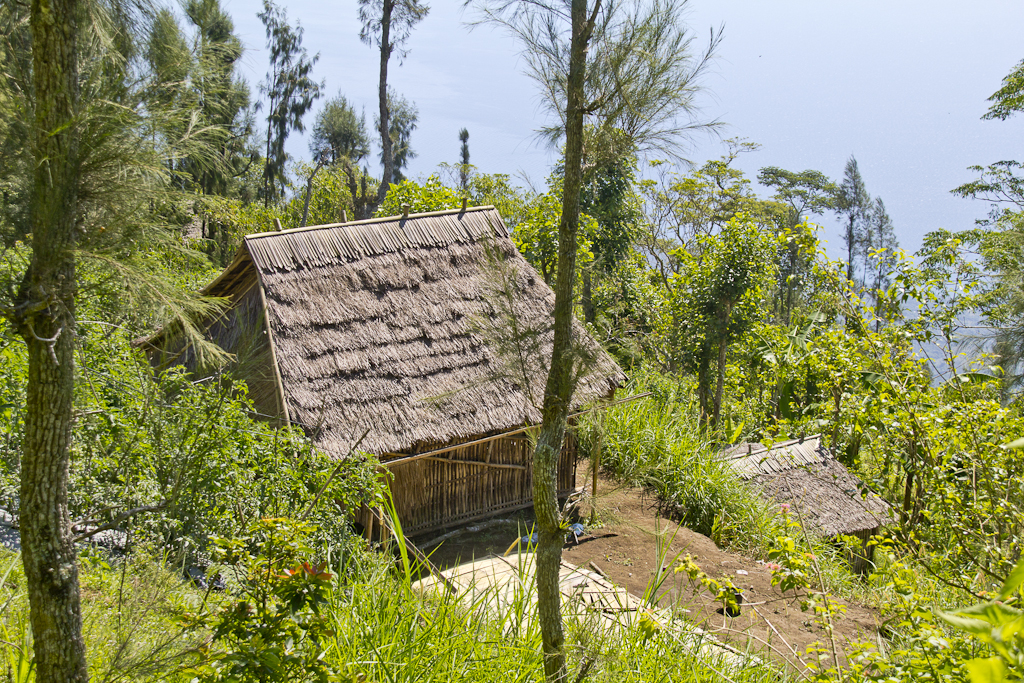 Caldeira du Batur, Amed