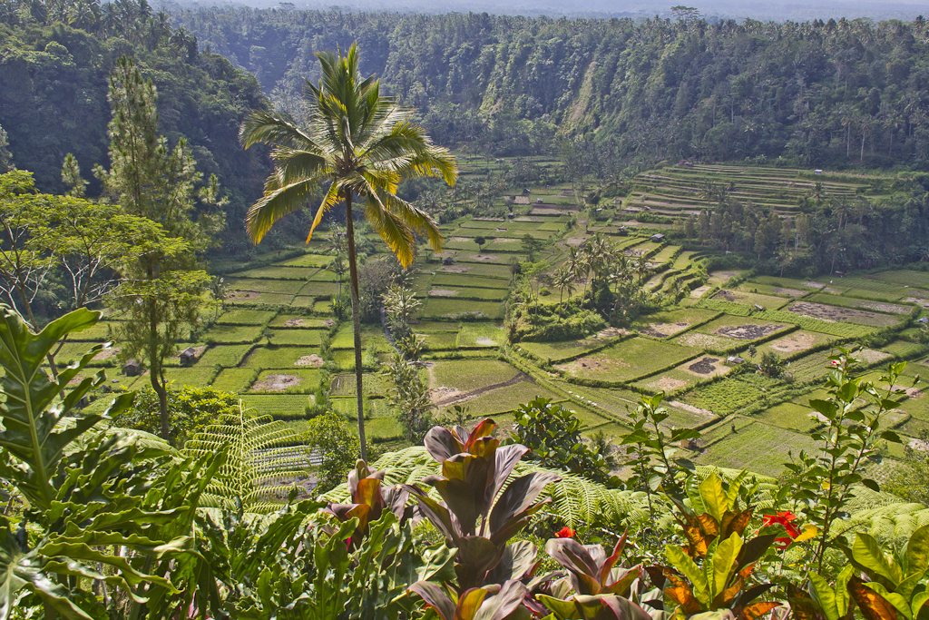 Ascension  du Mont Agung