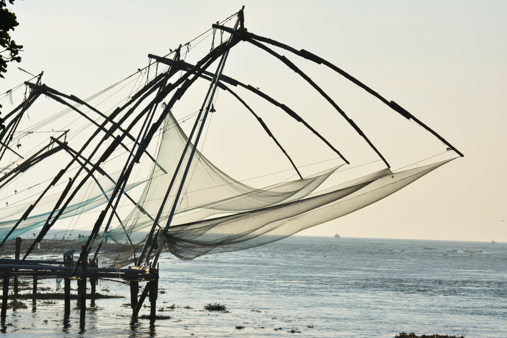 J12 FILETS DE CARRELETS CHINOIS A COCHINJPG