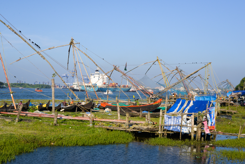 J12 FILETS DE CARRELETS CHINOIS COCHIN _