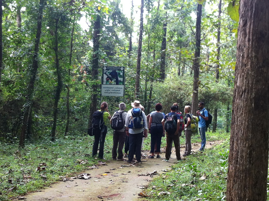 J2 BALADE PARC THATTEKAD_