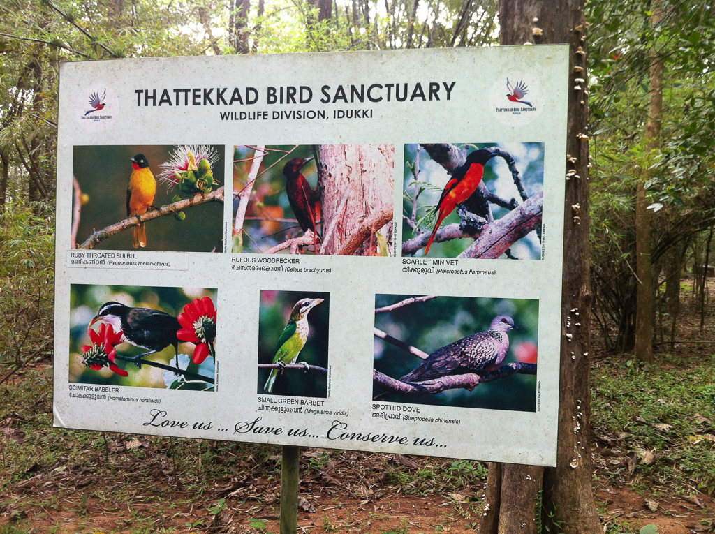 J2 PARC THATTEDAD JPG