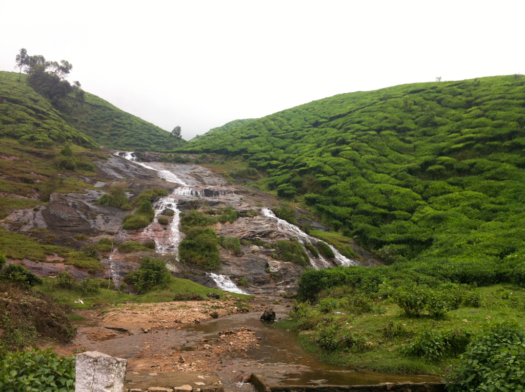 J6 CASCADE ET FORET CHOLA