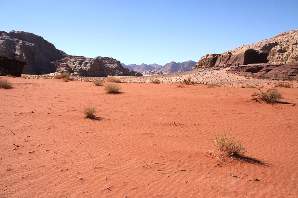 Sur les traces de Lawrence d'Arabie