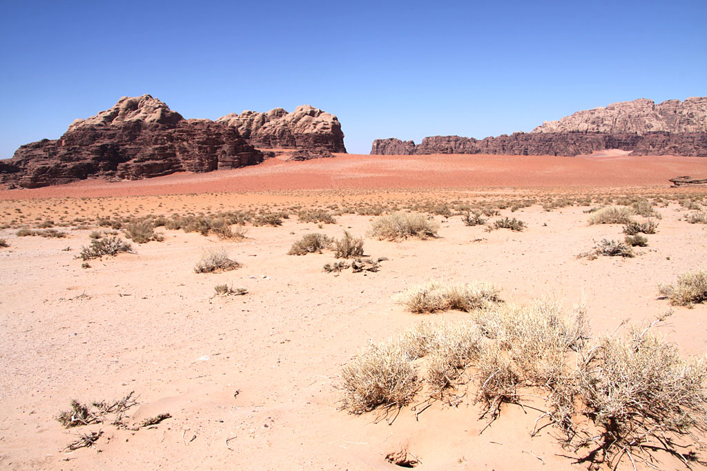Sur les traces de Lawrence d'Arabie