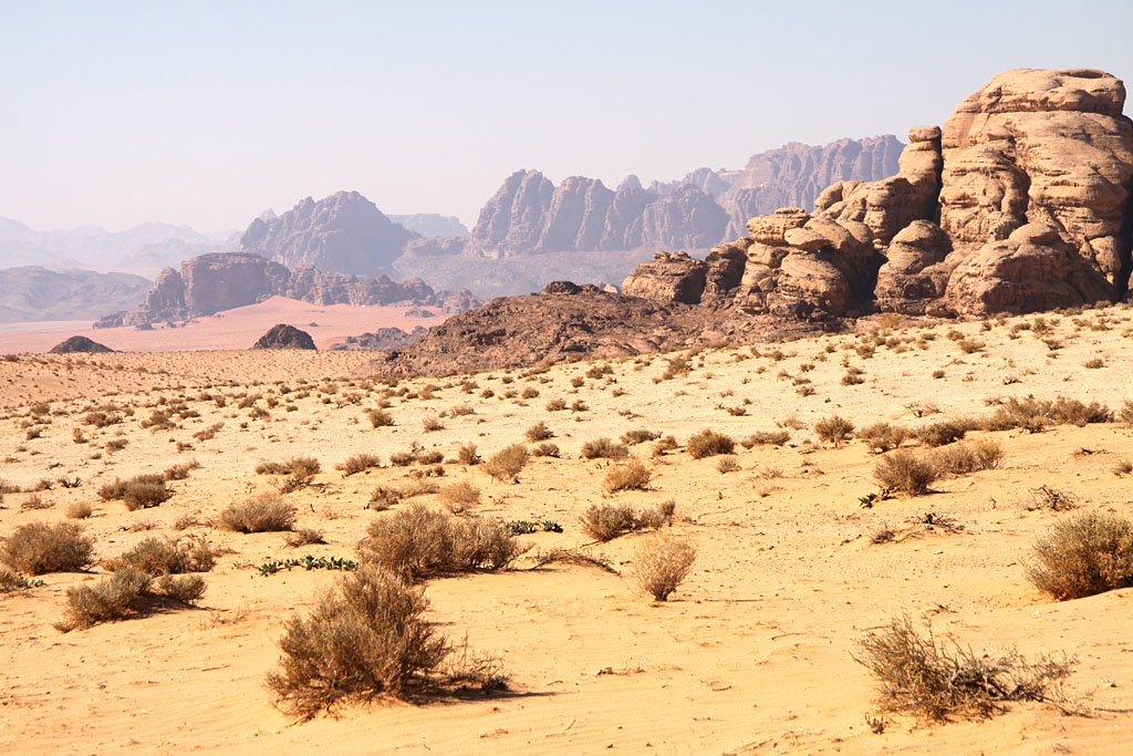 Sur les traces de Lawrence d'Arabie