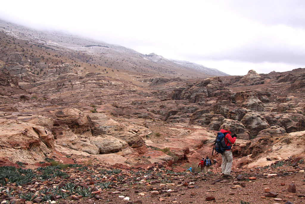 Incroyable couleur de la roche - La Jordanie ça se mérite !