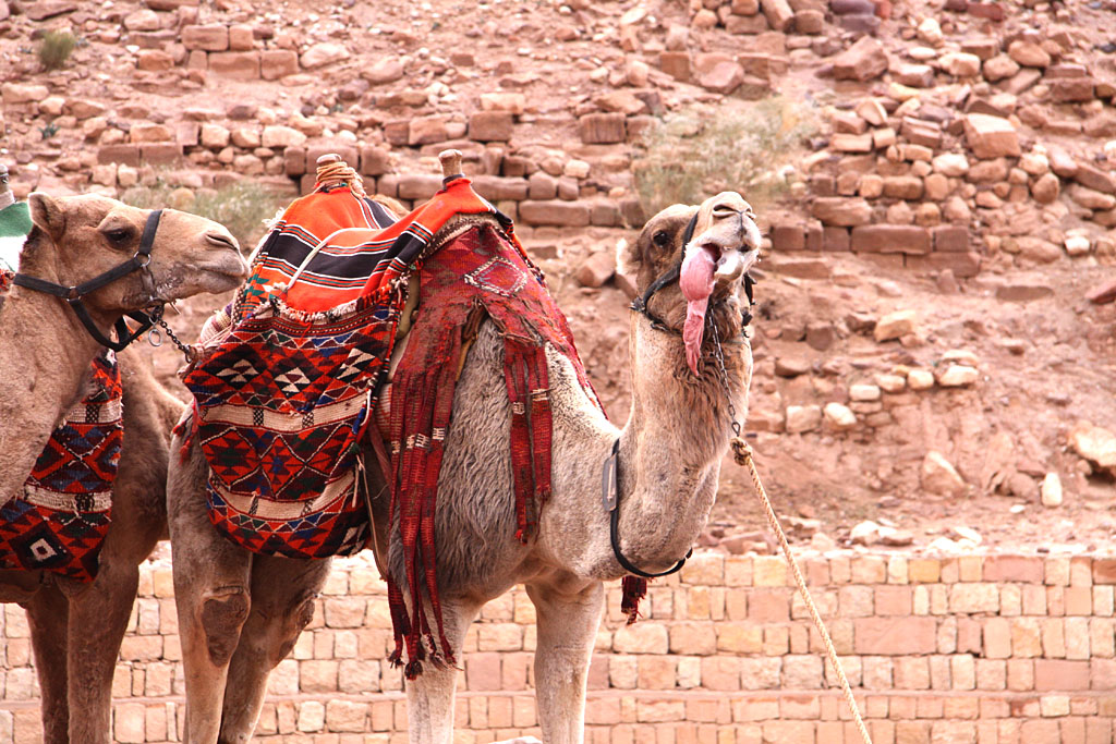 Incroyable couleur de la roche - La Jordanie ça se mérite !