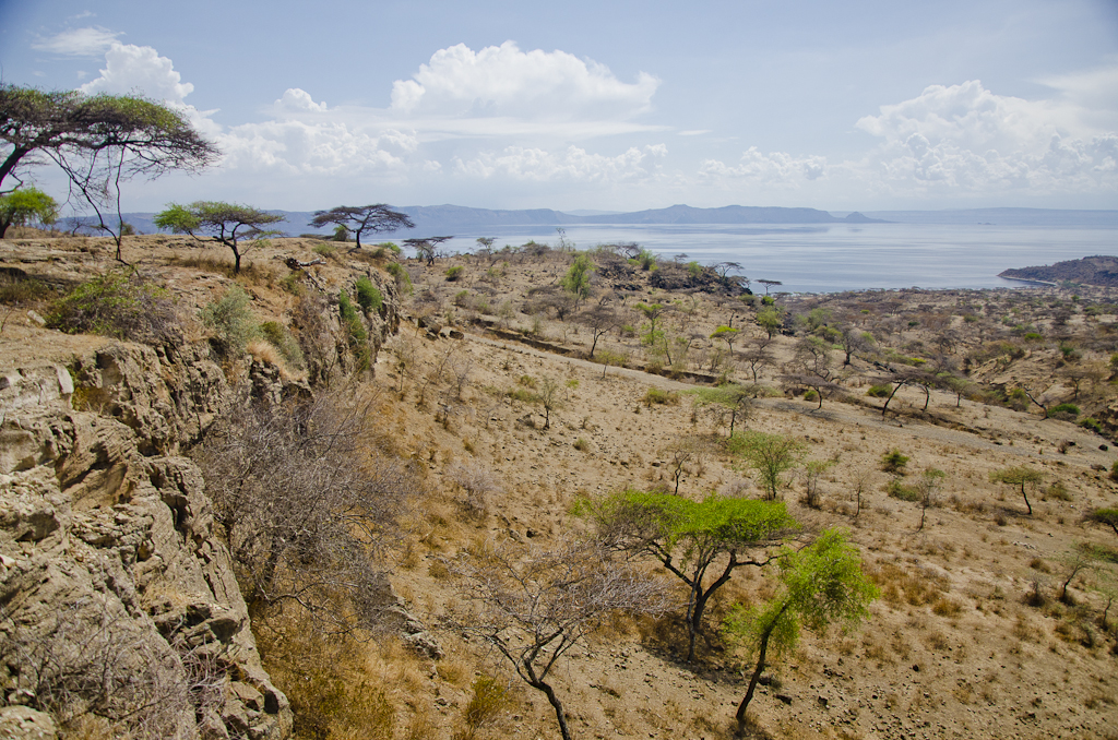 Grand Rift Africain, lac Abyata