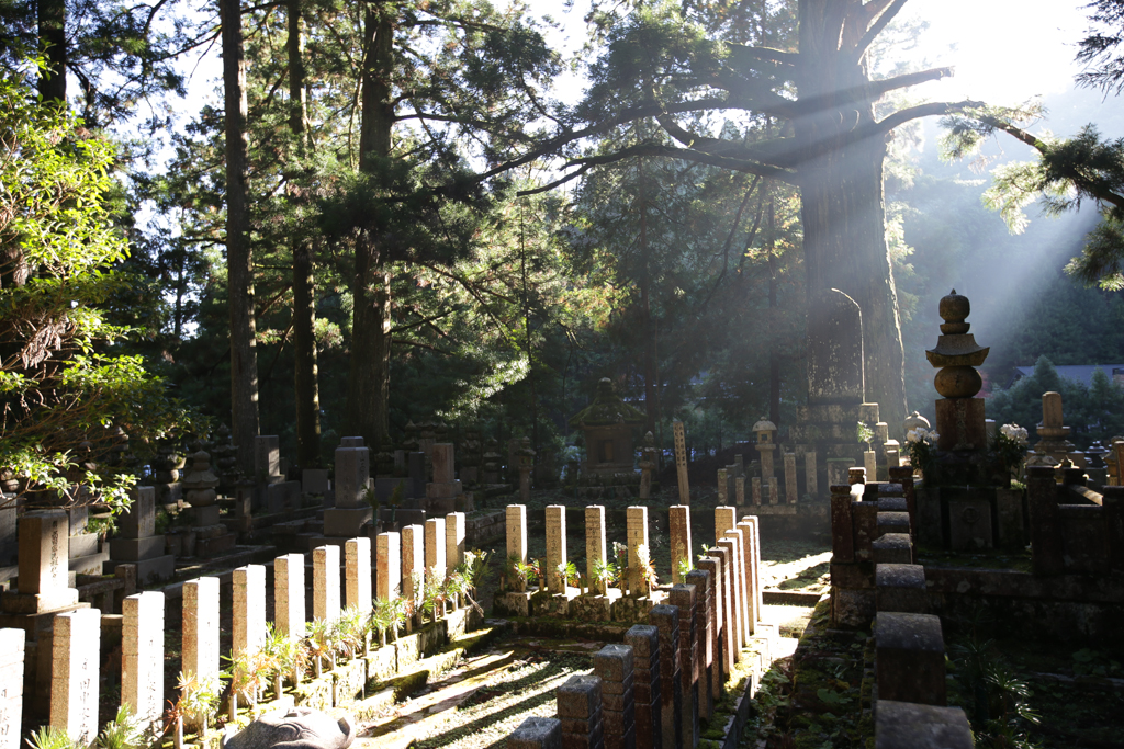 Koya San et Tokushima 20151104-3