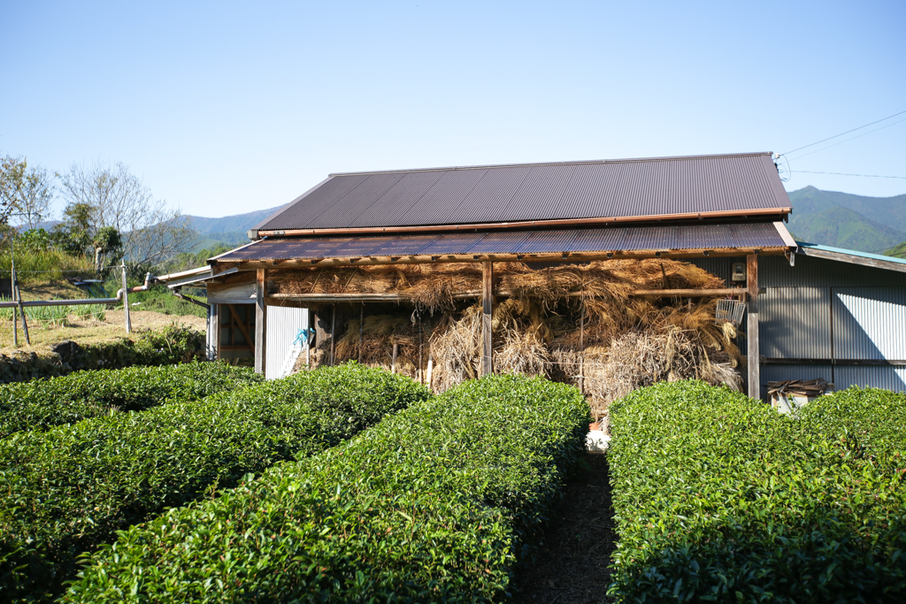 Kumano Kodo 20151029-12
