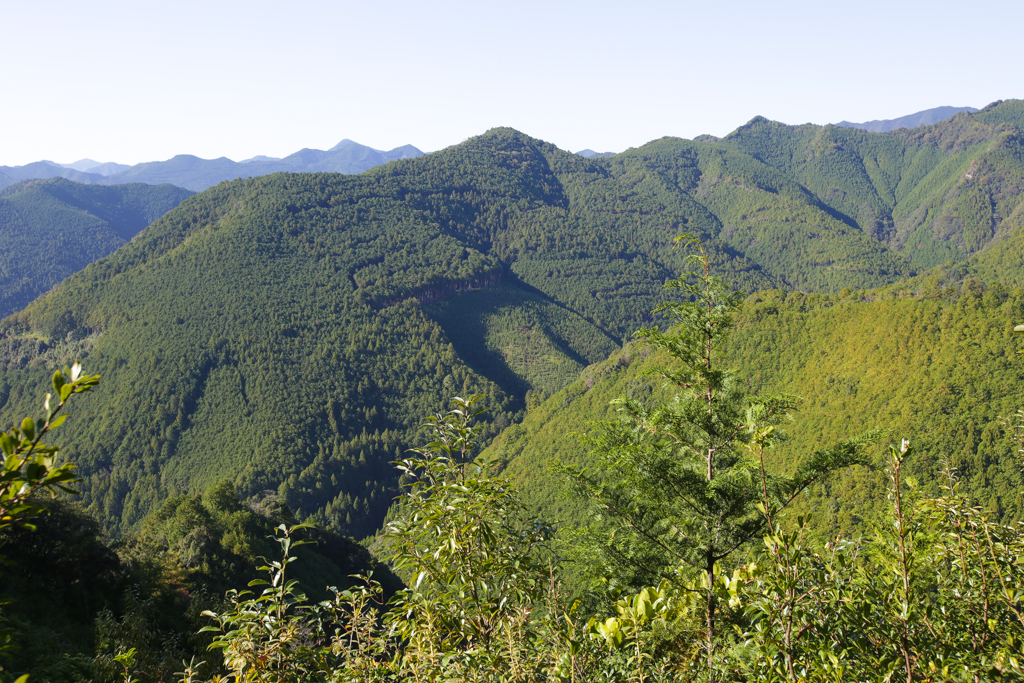 Kumano Kodo 20151029-2