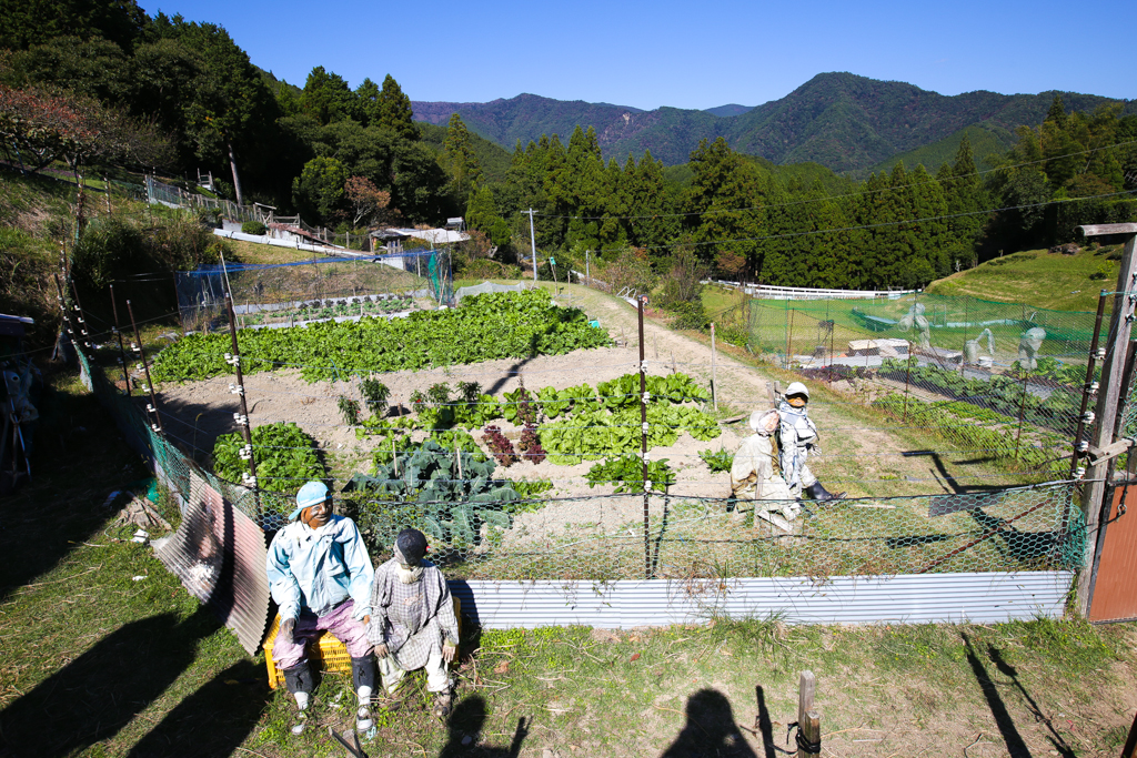 Kumano Kodo 20151029-8